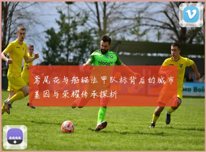 鸢尾花与船锚法甲队标背后的城市基因与荣耀传承探析